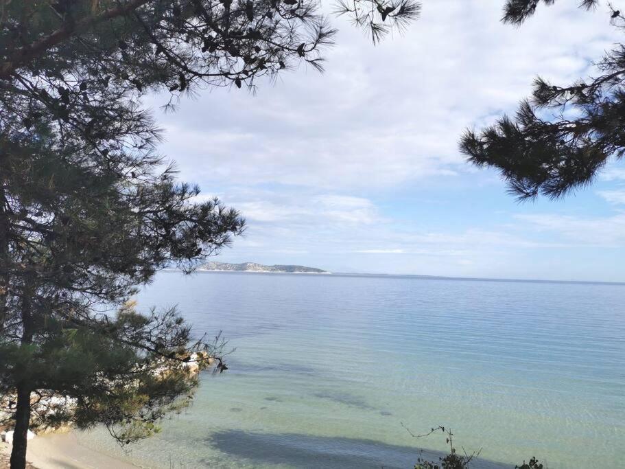 Central Thassos Apartment 3 エクステリア 写真